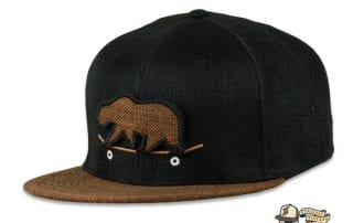 Removable Bear Skateboard Fitted Cap by Grassroots