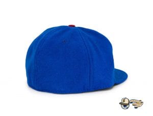 Women's History Month Fitted Ballcap Collection by Ebbets Back