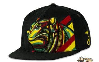 Bombearclat Fitted Hat by Grassroots