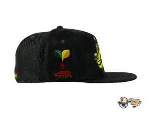 Bombearclat Fitted Hat by Grassroots Side
