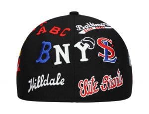 The Negro Leagues Baseball Fitted Hat Collection by Rings And Crwns x Lids Back