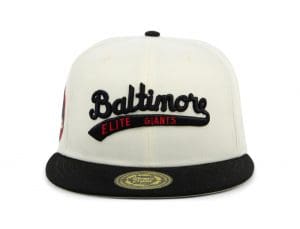 The Negro Leagues Baseball Fitted Hat Collection by Rings And Crwns x Lids Front