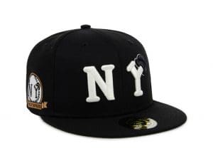 The Negro Leagues Baseball Fitted Hat Collection by Rings And Crwns x Lids Left