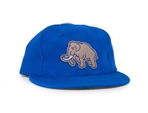 Mammoth Royal Fitted Hat by Fairweather League x Ebbets