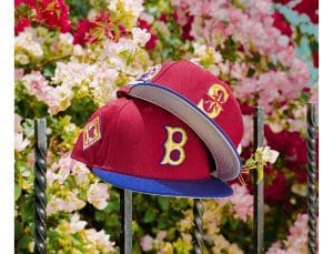 MLB Sangria 59Fifty Fitted Hat Collection by MLB x New Era Front