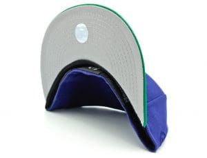 Dodos Two-Tone Custom Fitted Hat by The Capologists Undervisor