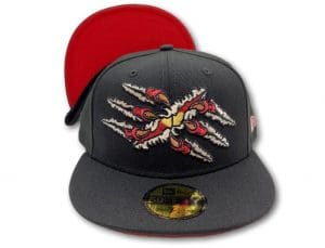 Raging Dragons 59Fifty Fitted Hat by Team Collective x New Era