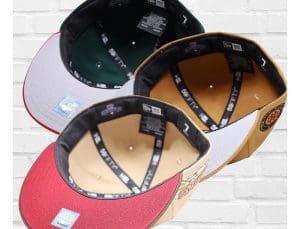Brims Exclusive Buffalo Bisons Debut 59Fifty Fitted Hat Collection by MiLB x New Era Bottom
