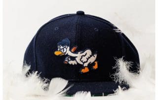 Goose Island Bruisers 59Fifty Fitted Hat by Dionic x New Era