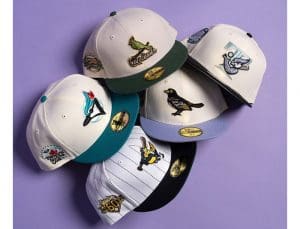 Capsule Birdwatch 59Fifty Fitted Hat Collection by MLB x New Era