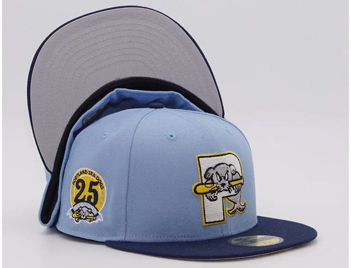 Portland Sea Dogs 2-Tone 25 Seasons 59Fifty Fitted Hat by MiLB x New Era