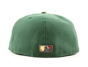 Houston Astros Apollo 11 Mountain Green Walnut 59Fifty Fitted Hat by MLB x New Era Back