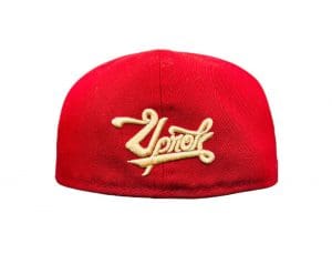 Byrd's Life 59Fifty Fitted Hat by Uprok x Jetpack x New Era Back