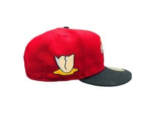 Byrd's Life 59Fifty Fitted Hat by Uprok x Jetpack x New Era Side