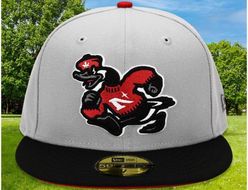 Goose Mascot Grey Black 59Fifty Fitted Hat by MLB x New Era Noble North