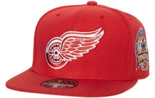 Detroit Red Wings Fitted Hat by NHL x Mitchell And Ness