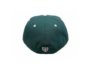 Pride Pine Needle Green Graphite 59Fifty Fitted Hat by Fitted Hawaii x New Era Back
