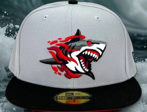 Great White North Grey Black 59Fifty Fitted Hat by Noble North x New Era Front